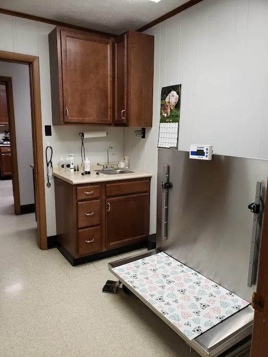 Green Lawn Animal Clinic Picture 2