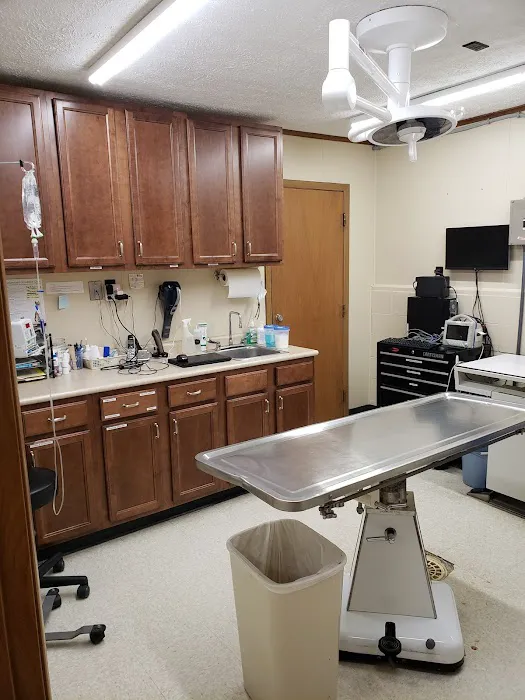 Green Lawn Animal Clinic Picture 8
