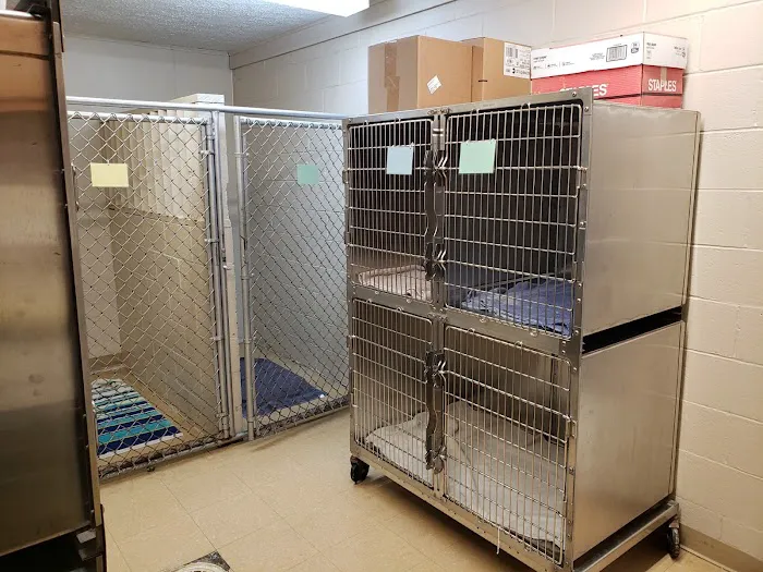 Green Lawn Animal Clinic Picture 10