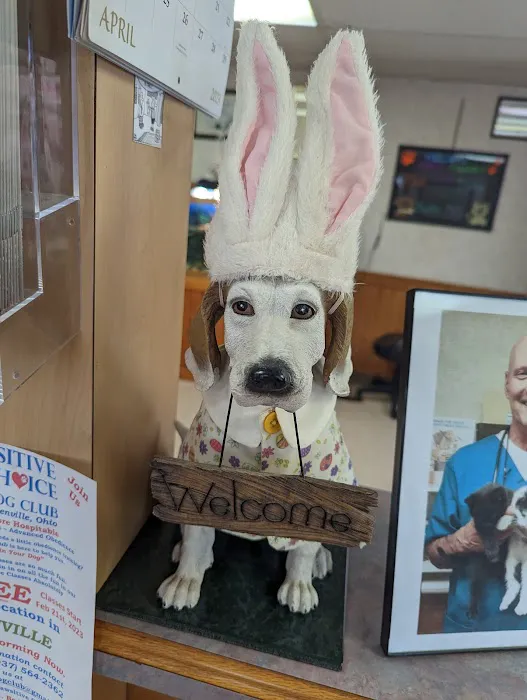 Edgetown Veterinary Clinic And Laser Center Picture 3