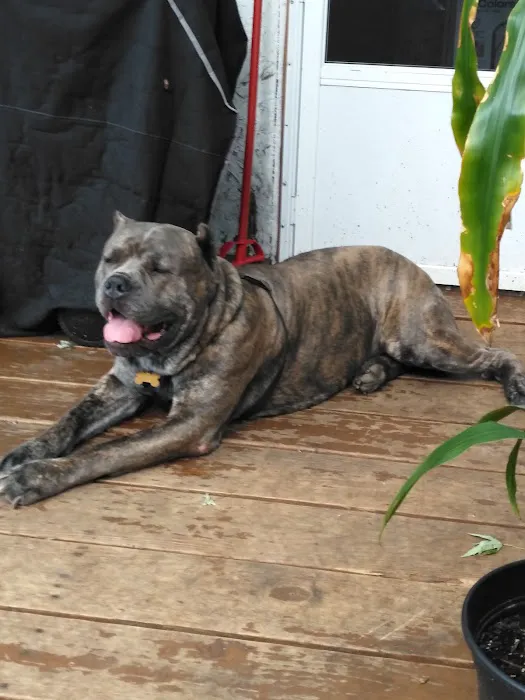 Creature Comforts Veterinary Picture 6