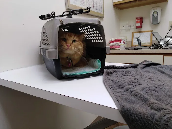Creature Comforts Veterinary Picture 5