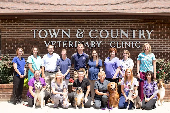 Town and Country Veterinary Clinic Picture 2