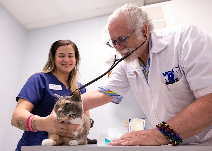 VCA Health Associates Animal Hospital Picture 2
