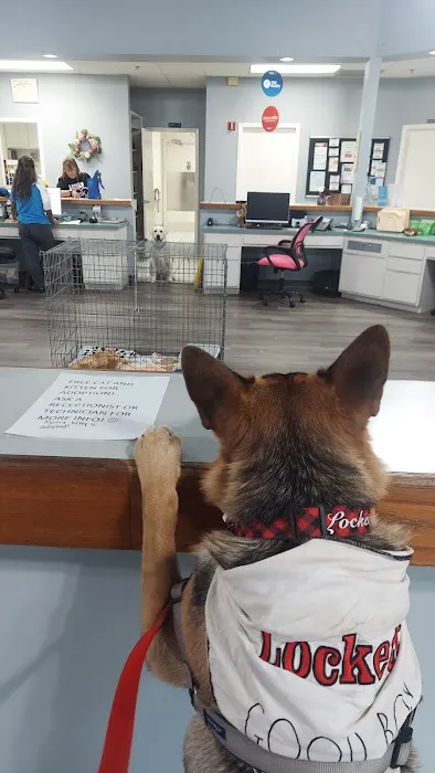 VCA Health Associates Animal Hospital Picture 10