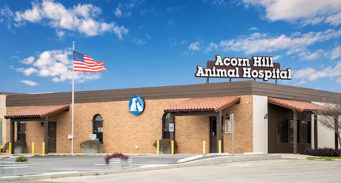 Acorn Hill Animal Hospital Picture 3