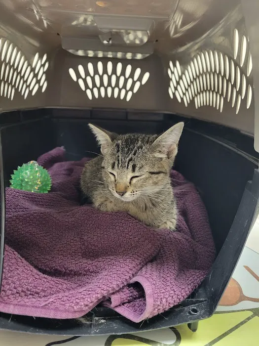 Acorn Hill Animal Hospital Picture 4