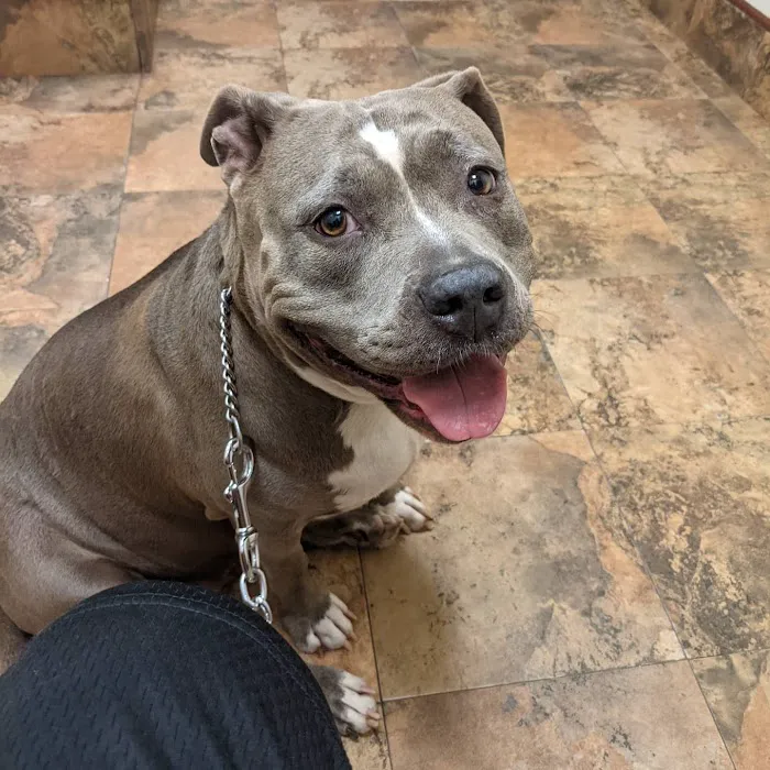Acorn Hill Animal Hospital Picture 6