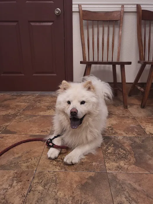 Acorn Hill Animal Hospital Picture 8