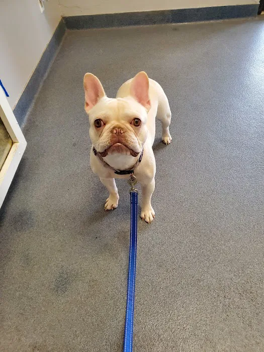 Sayers Animal Hospital Picture 1