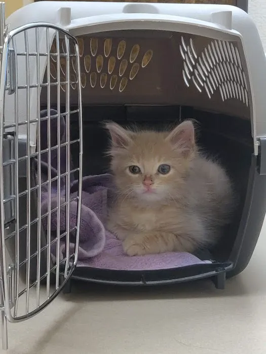 County Line Animal Hospital Picture 1