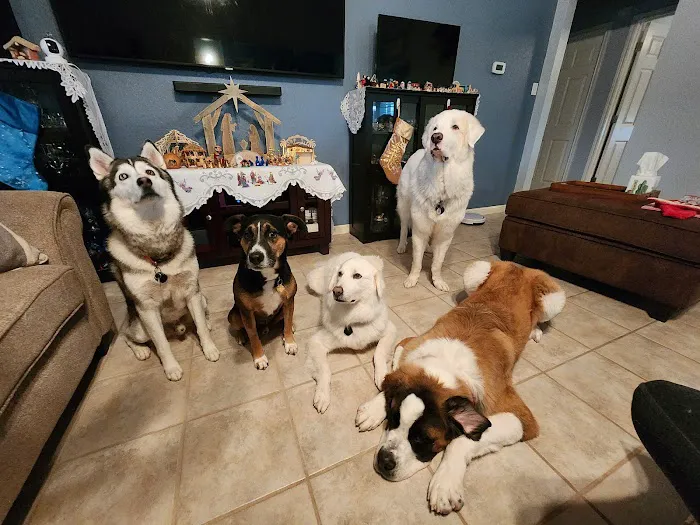 County Line Animal Hospital Picture 9