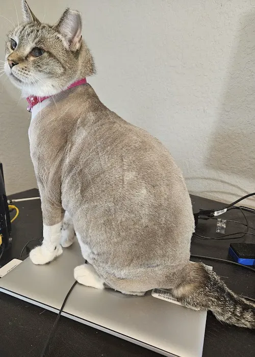 County Line Animal Hospital Picture 10