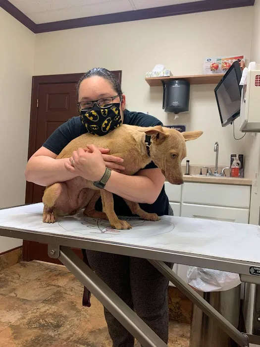 Crestway Animal Clinic Picture 9