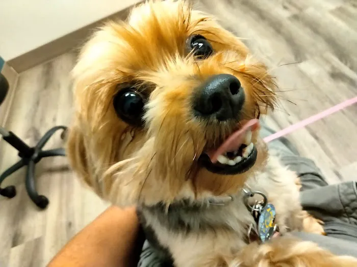 TLC Pet Hospital Picture 2