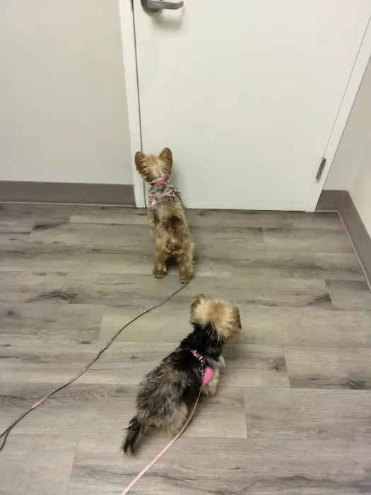 TLC Pet Hospital Picture 3