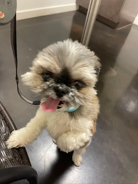 TLC Pet Hospital Picture 1