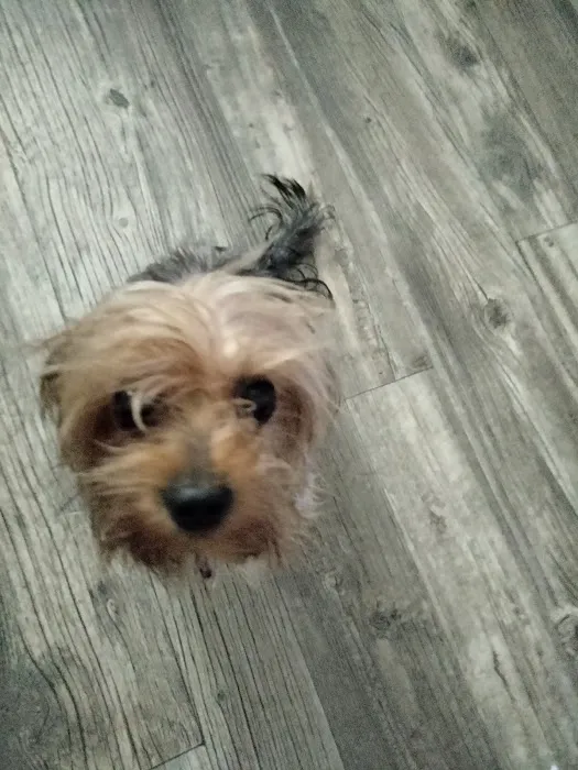 TLC Pet Hospital Picture 4
