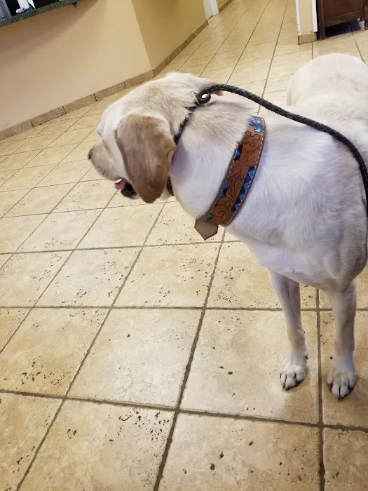 O'Connor Road Animal Hospital Picture 9