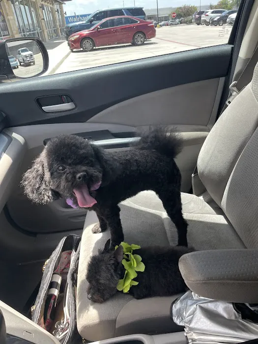 CityVet | Universal City Veterinary Clinic & Urgent Care Picture 10