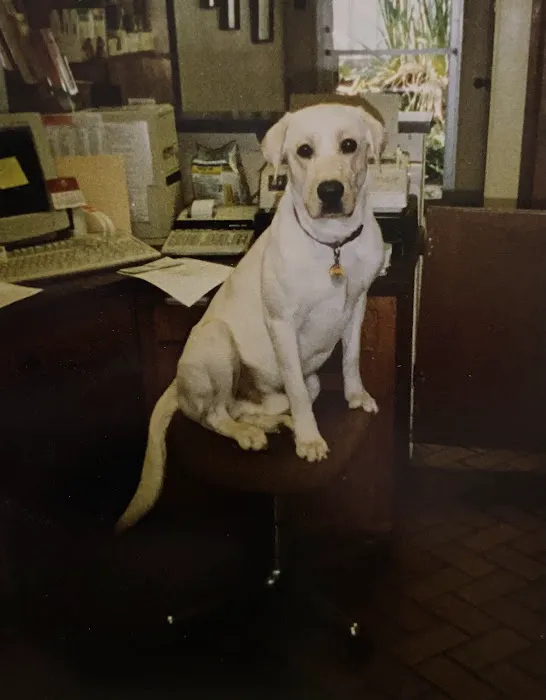 Pat Booker Road Animal Hospital Picture 5