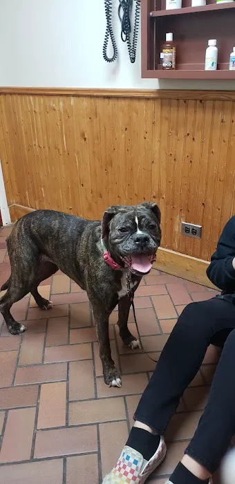 Pat Booker Road Animal Hospital Picture 6