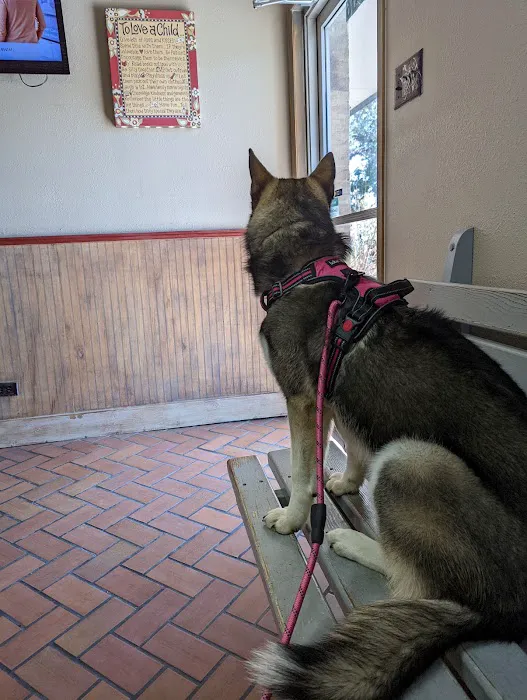 Pat Booker Road Animal Hospital Picture 7