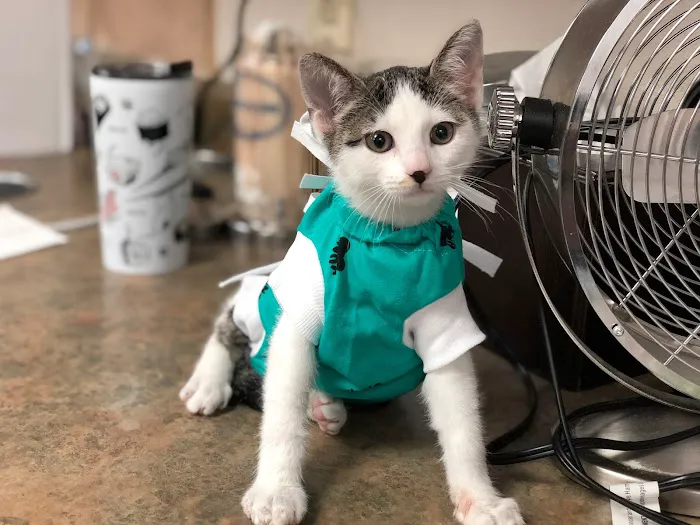 Northern Oaks Bird & Animal Hospital Picture 1