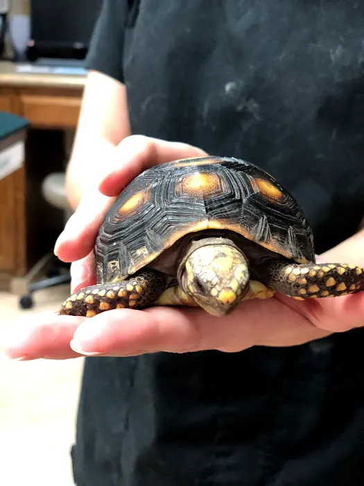 Northern Oaks Bird & Animal Hospital Picture 9
