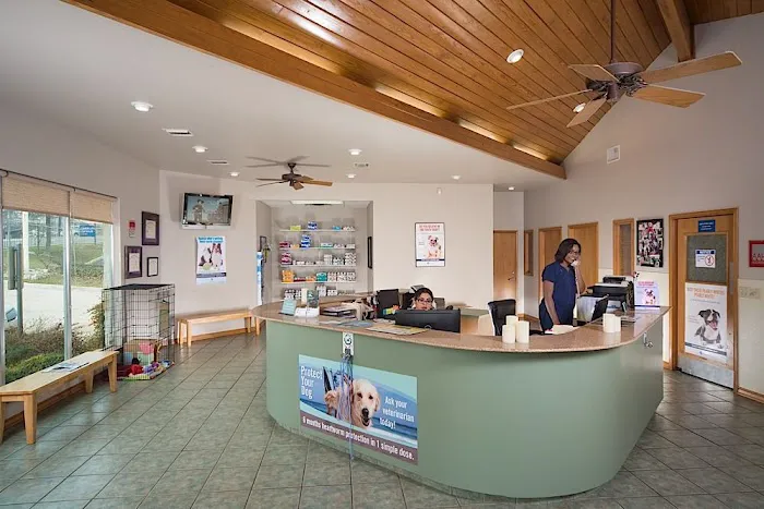 Huebner Oaks Veterinary Hospital Picture 3