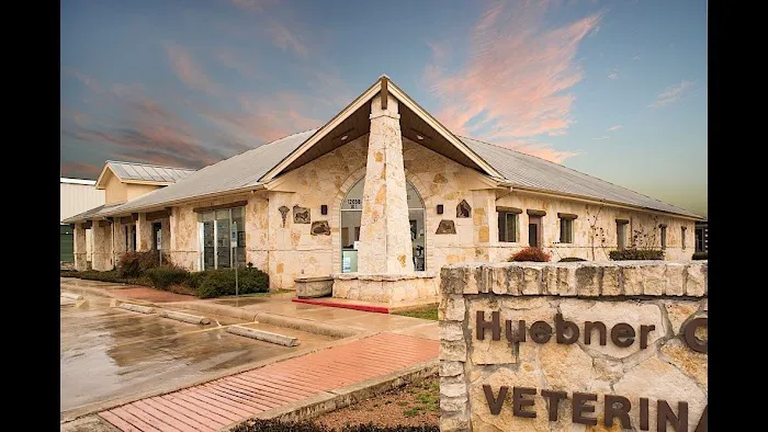 Huebner Oaks Veterinary Hospital Picture 2