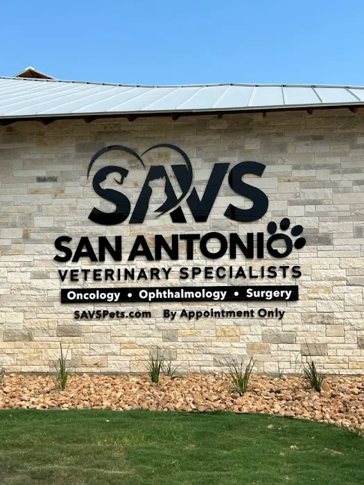 South Texas Veterinary Surgery Picture 3