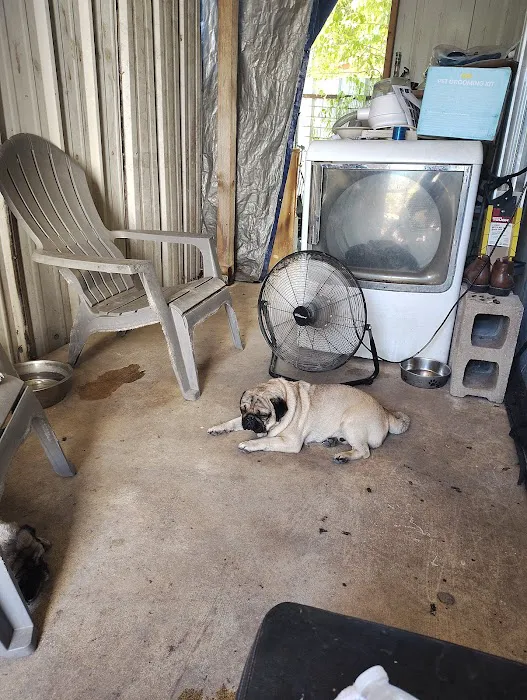 Brandos Animal Hospital Picture 2