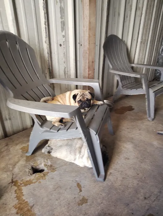 Brandos Animal Hospital Picture 7