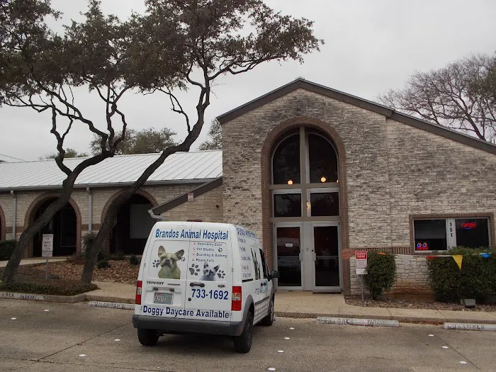 Brandos Animal Hospital Picture 10