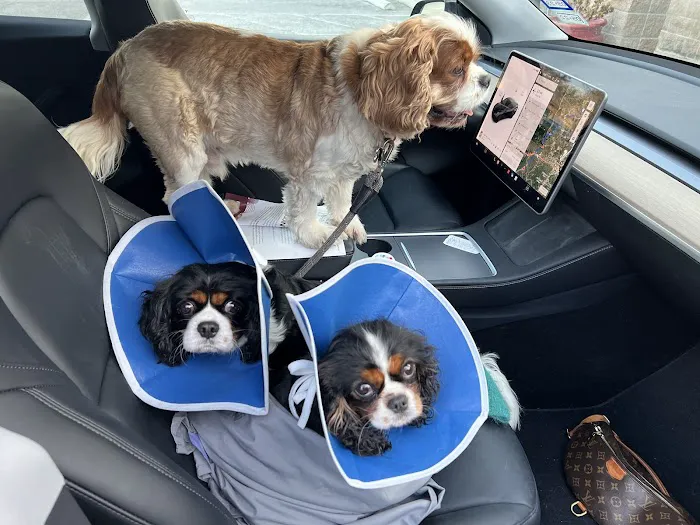 S&S Family Pet Hospital Picture 1