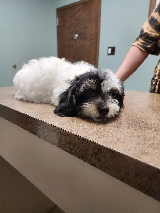 S&S Family Pet Hospital Picture 2