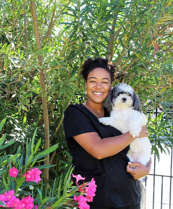 S&S Family Pet Hospital Picture 4