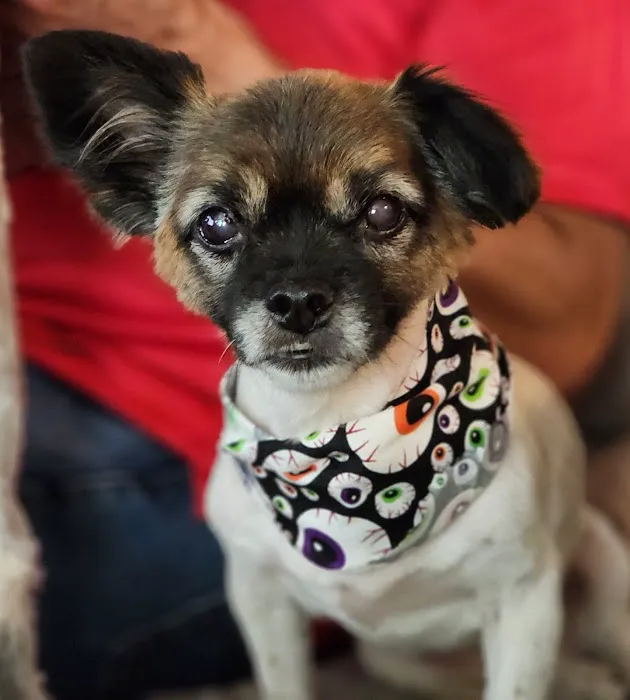 S&S Family Pet Hospital Picture 9