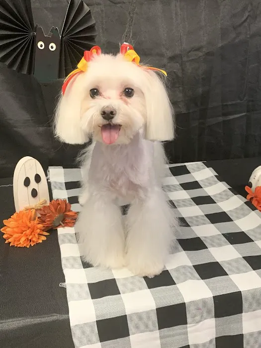S&S Family Pet Hospital Picture 6
