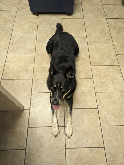 S&S Family Pet Hospital Picture 10