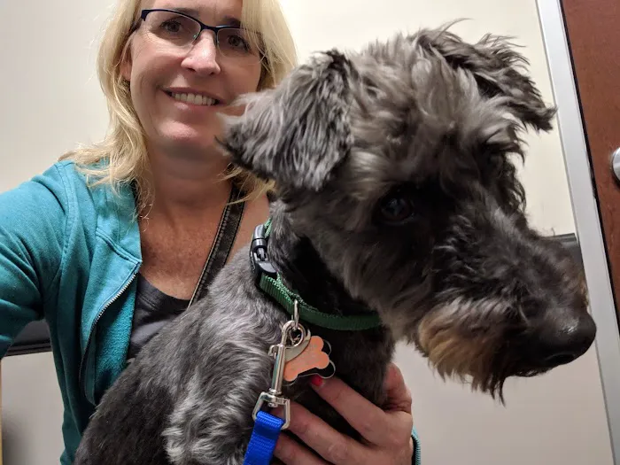 Alamo Ranch Animal Hospital Picture 2