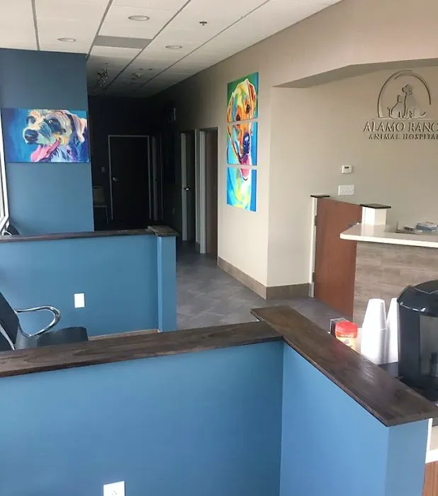 Alamo Ranch Animal Hospital Picture 6
