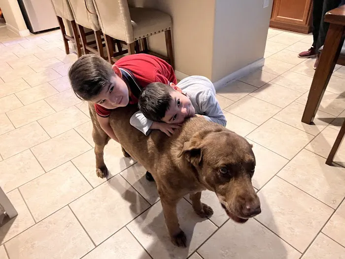 Alamo Ranch Animal Hospital Picture 8