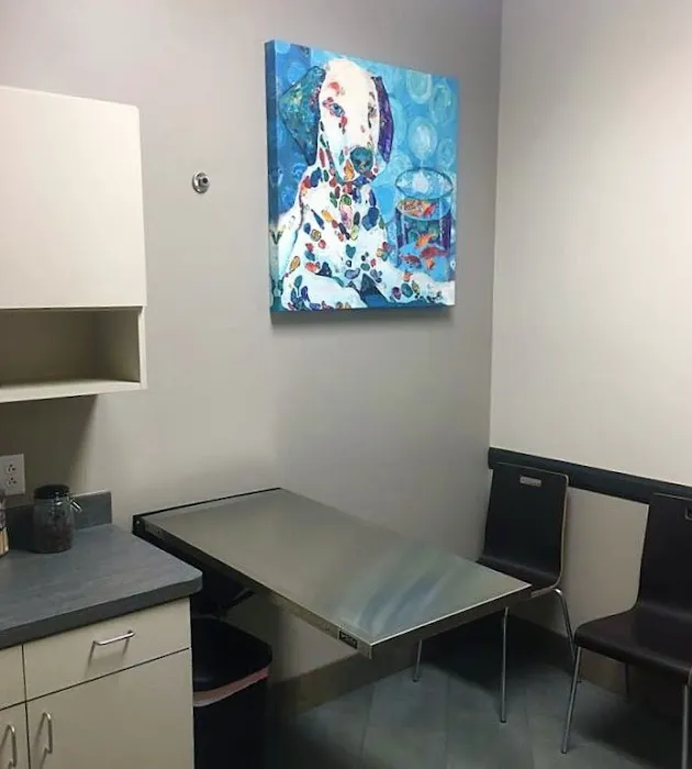 Alamo Ranch Animal Hospital Picture 10