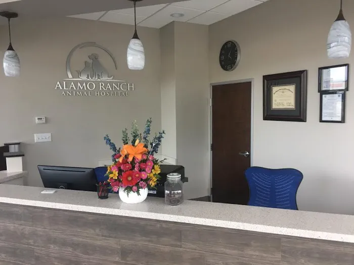 Alamo Ranch Animal Hospital Picture 9