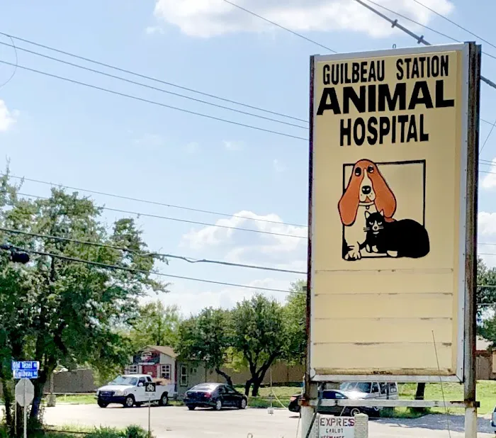 Guilbeau Station Animal Hospital Picture 10