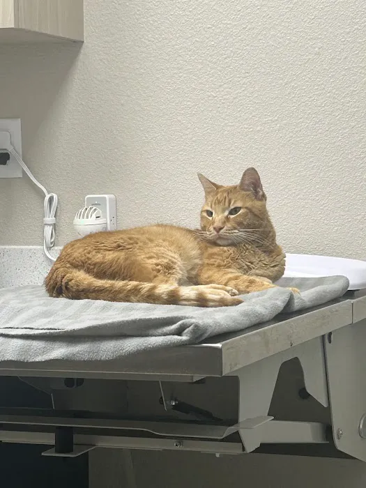 West Bexar Veterinary Clinic Picture 1