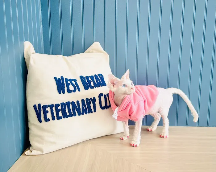 West Bexar Veterinary Clinic Picture 4