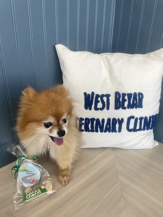 West Bexar Veterinary Clinic Picture 8